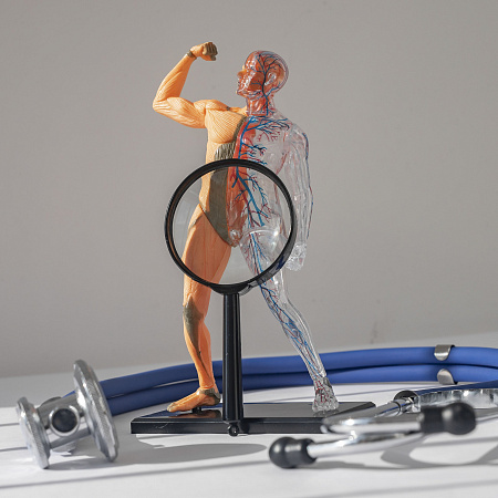 Bolotovov balzam na prostatitídu