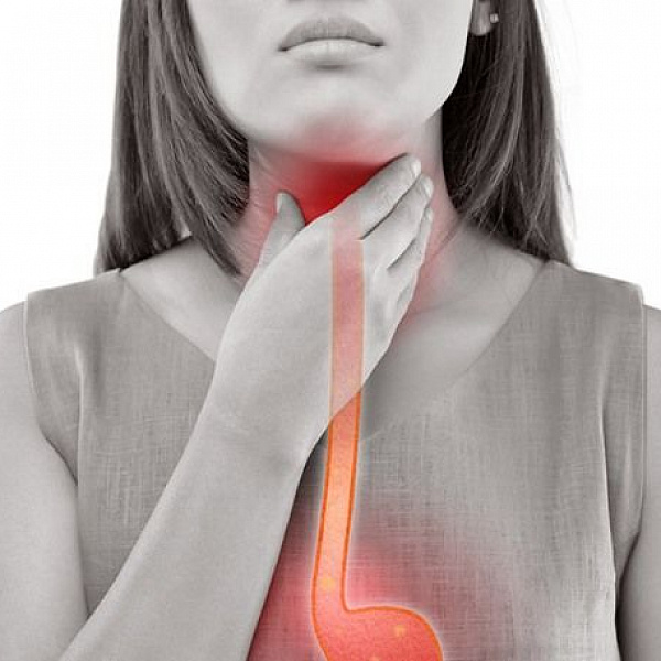 Bolotov balzam na reflux