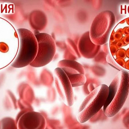 Бальзам Болотова при анемии