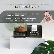 Face Cream Day&Night by Bolotov
