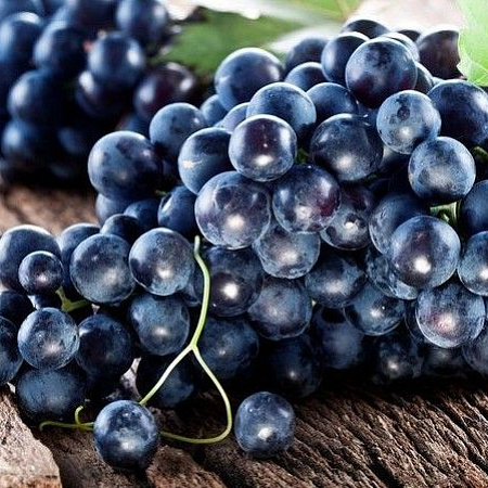 Zloženie Balsam Bolotov