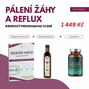 PROGRAM NA REFLUX A PÁLENÍ ŽÁHY