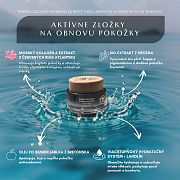 Face Cream Day&Night by Bolotov