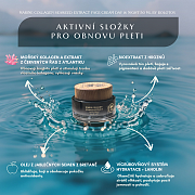 Face Cream Day&Night by Bolotov