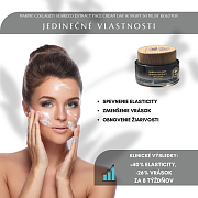 Face Cream Day&Night by Bolotov