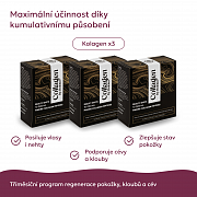 Komplet Intenzivní kolagenový kurz